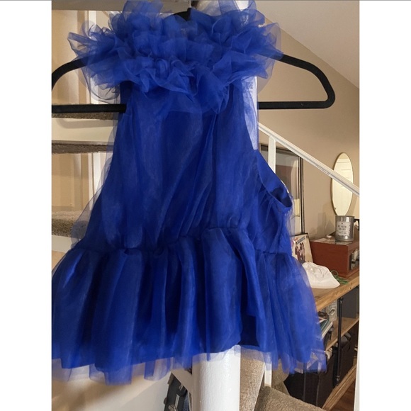 COPY - NWT Zara VOLUMINOUS TULLE TOP - Picture 7 of 8